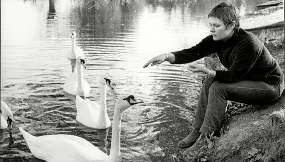Nuori Judi Dench.