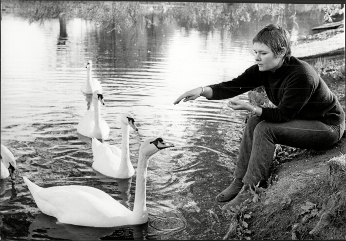 Nuori Judi Dench. Nuori Judi Dench.