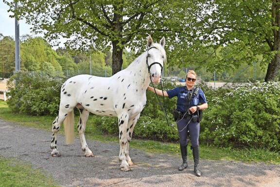 Kesällä Petterille hierotaan aurinkorasvaa turpaan, sillä herkkä vaaleanpunainen iho palaa helposti.