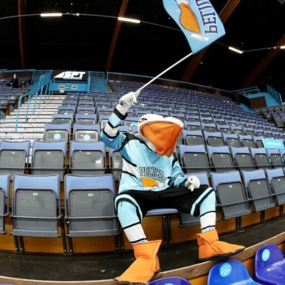 Iida Vainion lätkäkohu tuli kalliiksi: Liiga lätkäisi sakot Lahden Pelicansille – ”Se ei ole oikein!” Pekko Pelikaani.