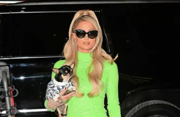 Kohublondi Paris Hilton mokailee jälleen - eläinsuojelujärjestö tyrmää toimet