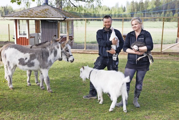 Satapäisen eläinlauman ylläpito ei ole halpaa huvia. – Käymme päivätöissä, ja tienestit menevät suoraan omaan elämiseen ja eläinten ruokkimiseen.