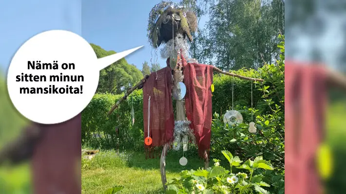 T SS ON VIIKON HAUSKA KUVA KATSO OLIKO SE SINUN t-ss-on-viikon-hauska-kuva-katso-oliko-se-sinun