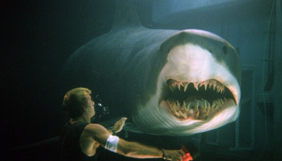 Tiedemies Carter Blake (Thomas Jane) joutuu vastakkain hain kanssa elokuvassa Deep Blue Sea. Tiedemies Carter Blake (Thomas Jane) joutuu vastakkain hain kanssa.