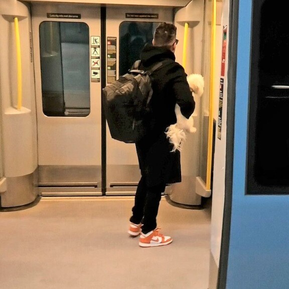 Paikalle liukunut metrojuna pelasti Axlin lopulta kiperästä tilanteesta. Hän luikki puudeli kainalossa paparazzia karkuun. Paikalle liukunut metrojuna pelasti Axlin lopulta kiperästä tilanteesta. Hän luikki puudeli kainalossa paparazzia karkuun.