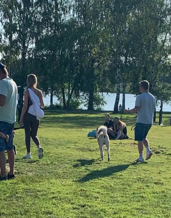 Kaksikko ulkoilutti puistossa kippurahäntäistä koiraa.