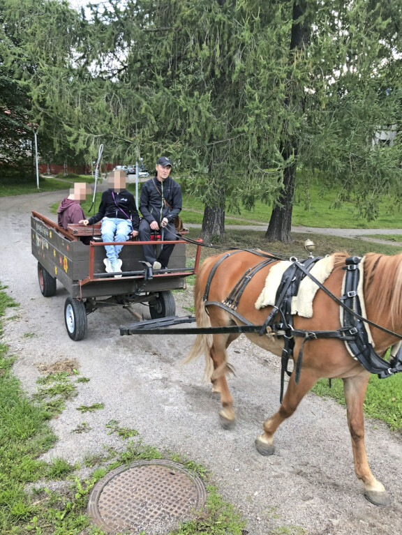 Taitava hevoskuiskaaja