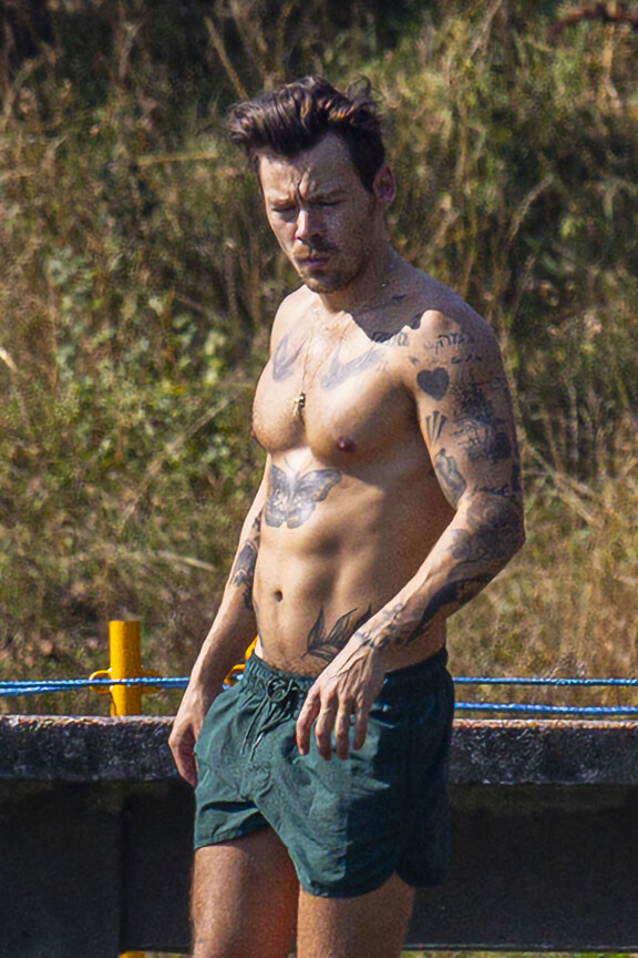Harry on kerännyt iholleen lukuisia tatuointeja.
