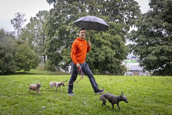 Mika Aaltolalla on kolme karvatonta koiraa.
