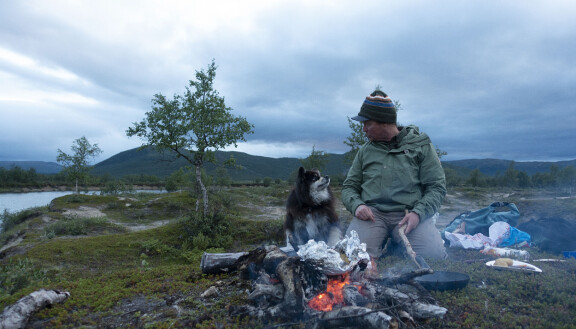 Äijä ja Aki viihtyvät käsivarren erämaassa.