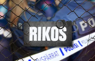 Poliisi huutokauppaa nyljettyä eläintä Lapissa – tästä on kyse