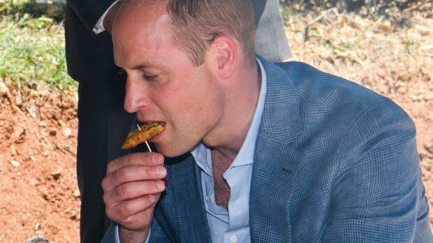 Prinssi Williamin outo ruokailutapa paljastui - kulkee kuninkaan jalanjäljissä