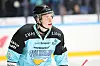 Waltteri löi läpi alun perin Lahden Pelicansissa, jossa marinoitui Liigatähdeksi...