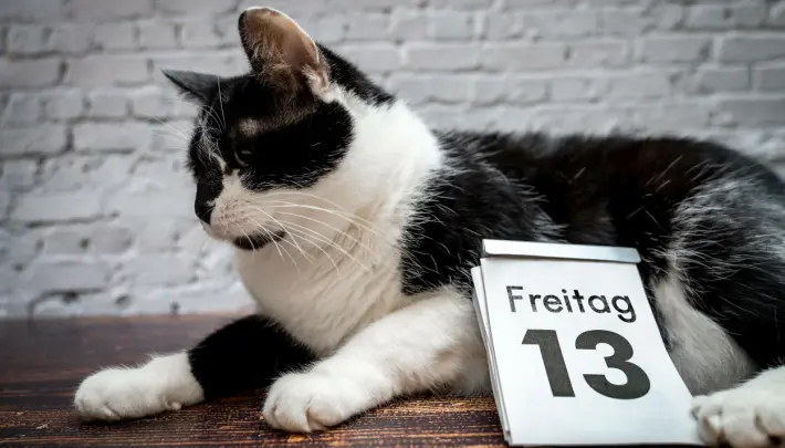 Tänään on perjantai 13. päivä - tiedätkö, mistä uskomus huonosta onnesta on peräisin?