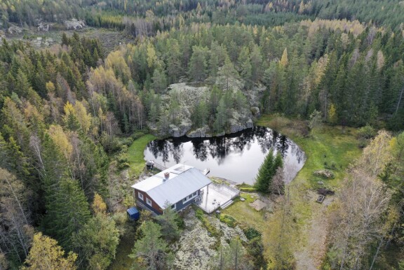 Kallen mökin lampivesi lienee puhdasta, sillä siinä voi ainakin uida.