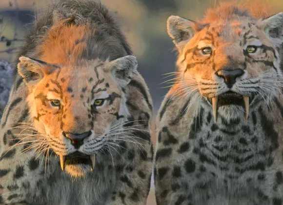 Suoratoistovinkit: Steven Spielbergin tuottamalla Netflix-sarjalla on hämäävä nimi