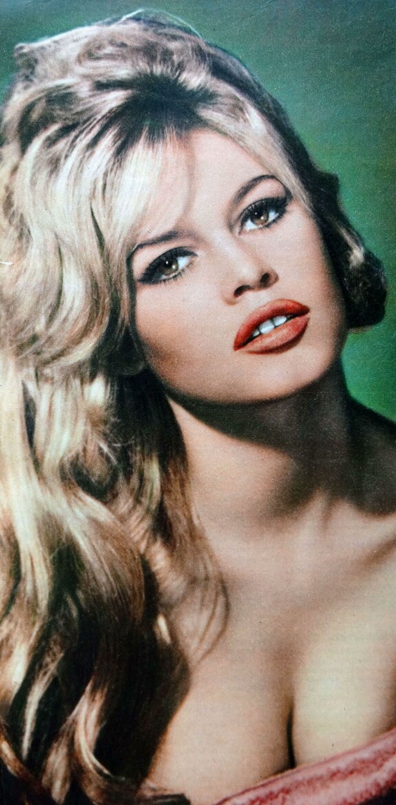 Elokuvahistorian ikonisimpiin kasvoihin lukeutuva Brigitte Bardot omisti elämänsä loppupuolen eläinsuojelutyölle, joka jatkuu edelleen.