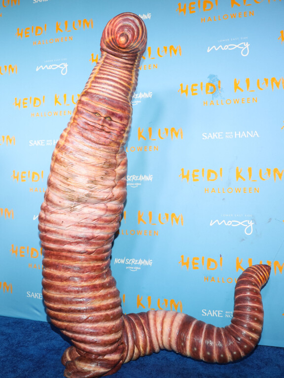 Heidin viime vuotinen halloween-asu sai runsaasti huomiota osakseen.