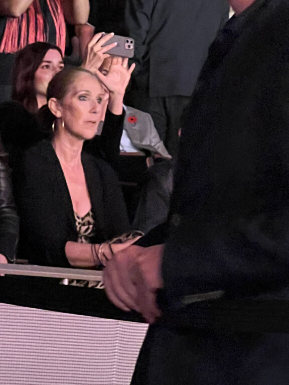 Céline seurasi Katy Perryn show'ta silmä kovana.