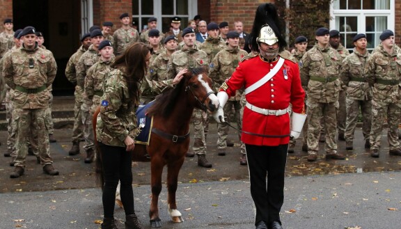 Welsh-poni Trooper Longface Emryn Jones (kuvassa keskellä) sai ylennyksen alikersantiksi.