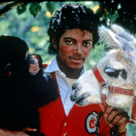 Michael Jackson ei kohdellut eläimiä niin hyvin kuin julkisuuteen on annettu ymmärtää. Michael Jackson