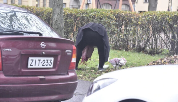 Panu Hörkkö ikuisti Hennan ja Vanillan lokakuussa 2018 kyykkimässä.