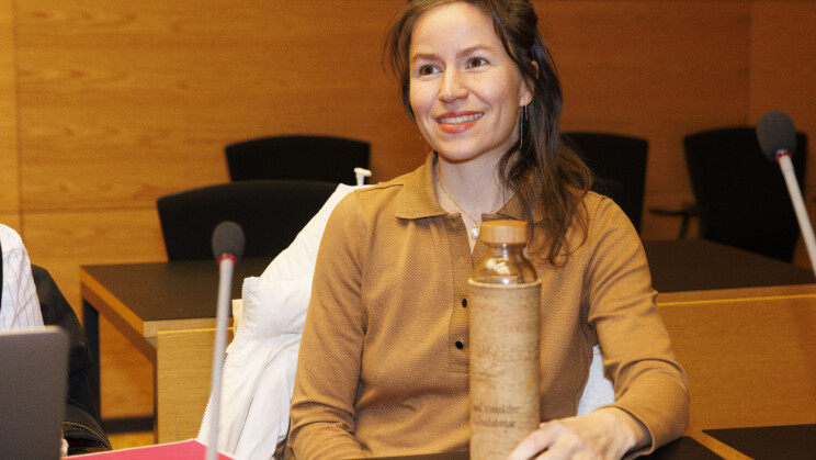 Maria Nordin iloitsee: kadonnut istukka löytyi - keksi uuden käyttötarkoituksen