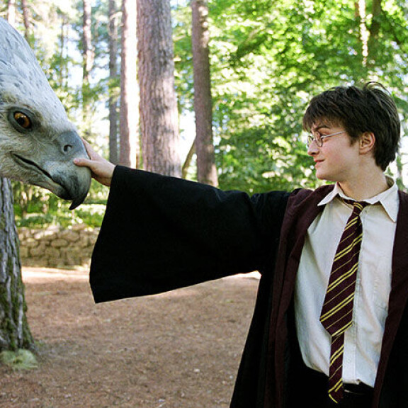 Harry tapasi Hiinokka-hevoskotkan elokuvassa Harry Potter ja Azkabanin vanki (2004). Sisäkuva