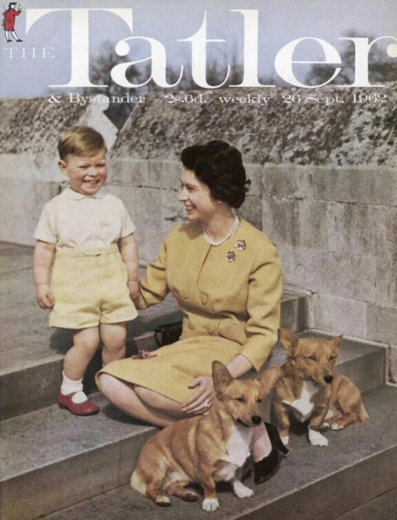 Prinssi Andrew, kuningatar Elisabet ja perheen silloiset koirat kuvattuna vuonna 1962 Tatler-lehden kannessa.