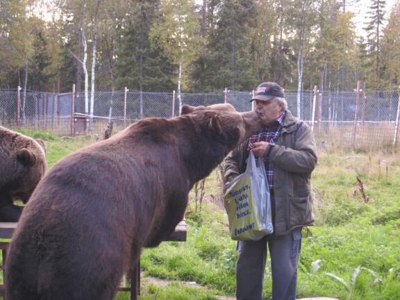 Arkistokuva karhusta ja Sulo Karjalaisesta vuodelta 2012.