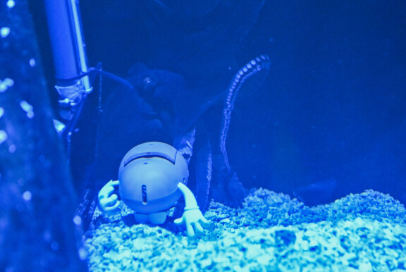 Mr. Potato Head -lelu on ollut jättiläistursaan mieleen.