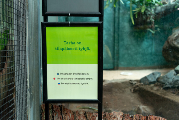 Pedro katosi tarhastaan viime heinäkuussa. Se on ollut näin ollen kateissa jo 5 kuukautta.