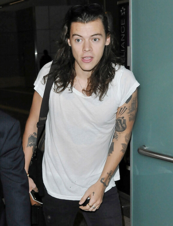 Tällaiset hiukset Harrylla on ollut.