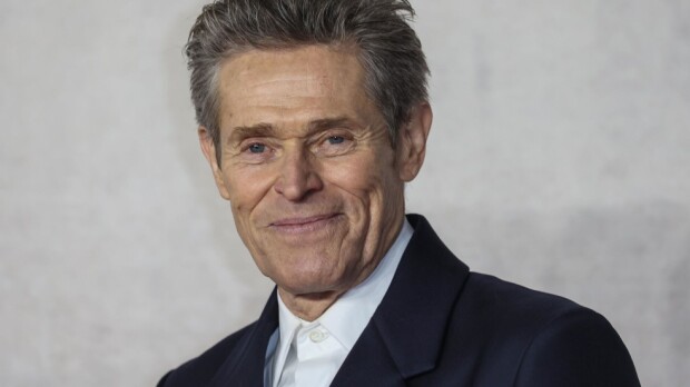 Tiesitkö? Willem Dafoella on Italiassa maatila: Tunnen kaikkien alpakoideni luonteet