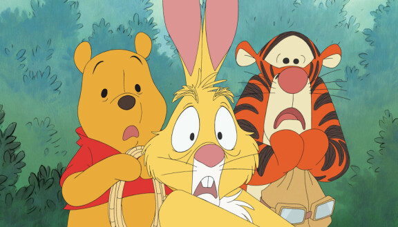 Jarmo on Disneyn virallinen suomalainen Nalle Puhin ääni.