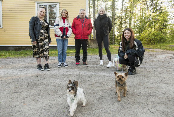 Harri-koira tutustuu uuteen ystäväänsä.