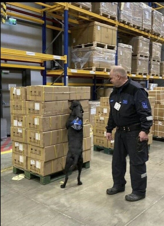 Pepi-koira on tehnyt urallaan yli 1 200 huumelöytöä.