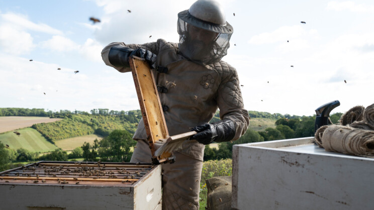 Elokuva-arvostelu: The Beekeeper on herkullinen ja hölmö elokuva, joka jokaisen seniorikansalaisen kuuluisi nähdä