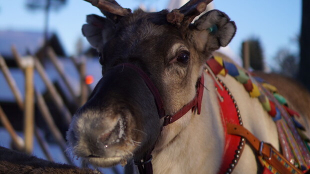Kuuluisassa brittisarjassa matkataan läpi Suomen – kuopiolaiset esittelevät itsensä tärähtäneiksi Maailman kauneimmat junareitit