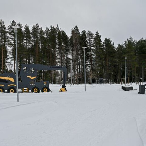 Tässä Einari Vidgrenin mukaan nimetyssä puistossa on juhlittu Niskasten hiihtosaavutuksia. Tässä Einari Vidgrenin mukaan nimetyssä puistossa on juhlittu Niskasten hiihtosaavutuksia.
