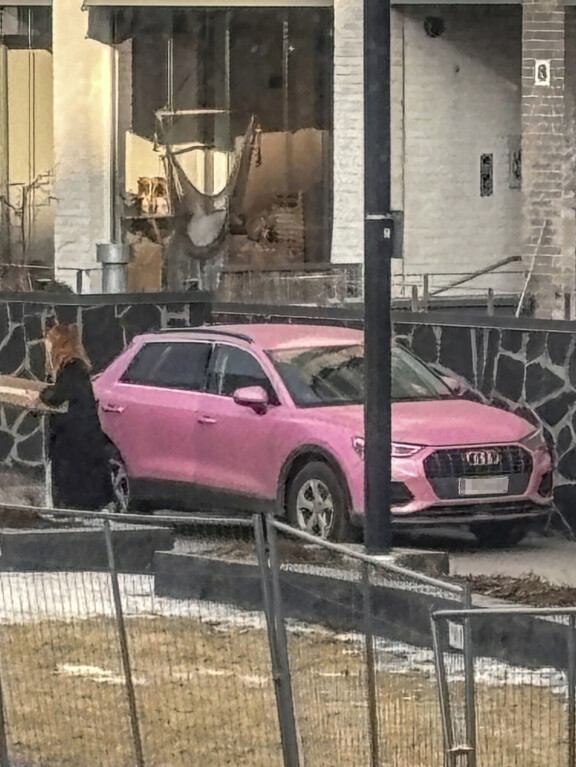Veronica Verho muutti yksin sinkkukotiin – erikoinen auto herätti huomiota