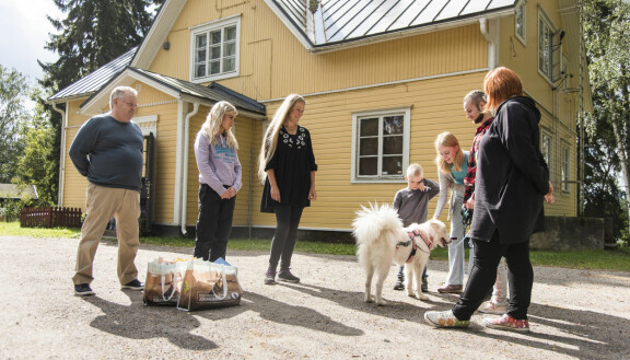 Nalan uusi koti löytyy Ylöjärveltä. Koti koiralle