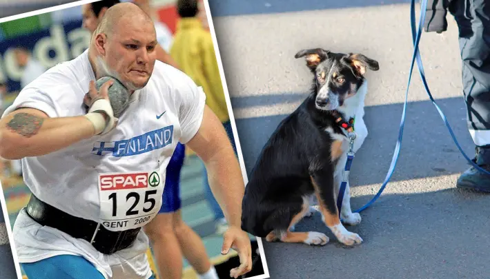 Urheilulegenda Mika Halvari hylkäsi tullikoiransa kaupan eteen sai