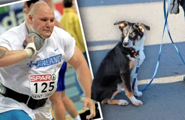 Urheilulegenda Mika Halvari hylkäsi tullikoiransa kaupan eteen – vakava seuraus