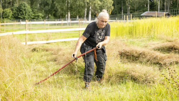 Miina Äkkijyrkkä opettaa viikatteen käyttöä Farmi Suomessa – antaa kipakkaa palautetta