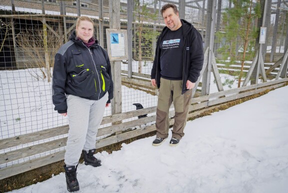 Artoa huolettaa hoitolan rahoitus. Tänä vuonna hoitola on saanut tukea valtiolta 47 000 euroa. – Pelkästään vuokraan, sähköön ja veteen menee vuodessa noin 36 000 euroa.