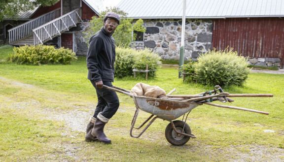 Michael löysi jätösten seasta tamponin.