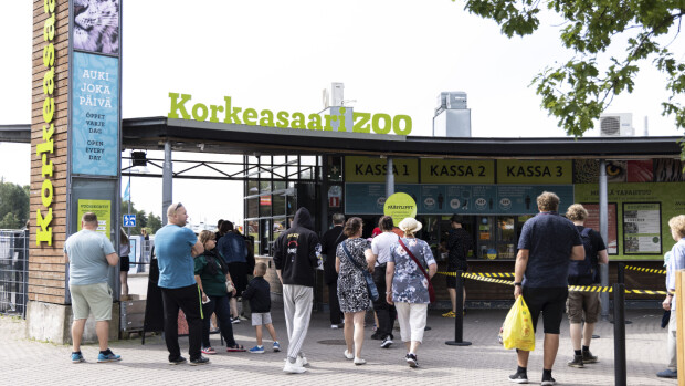 Seiska vieraili Korkeasaaren Villieläinsairaalassa – näin kuutteja hoidetaan