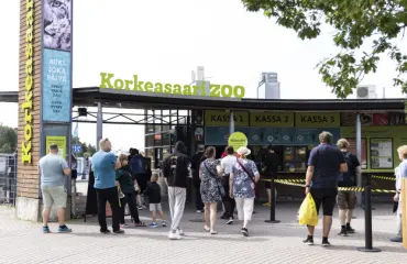 Seiska vieraili Korkeasaaren Villieläinsairaalassa – näin kuutteja hoidetaan