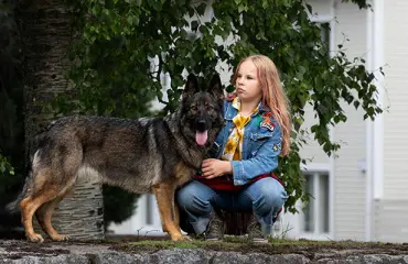 Susikoira Roi -tähti Elina Patrakka rakensi erikoislaatuisen suhteen koiranäyttelijään